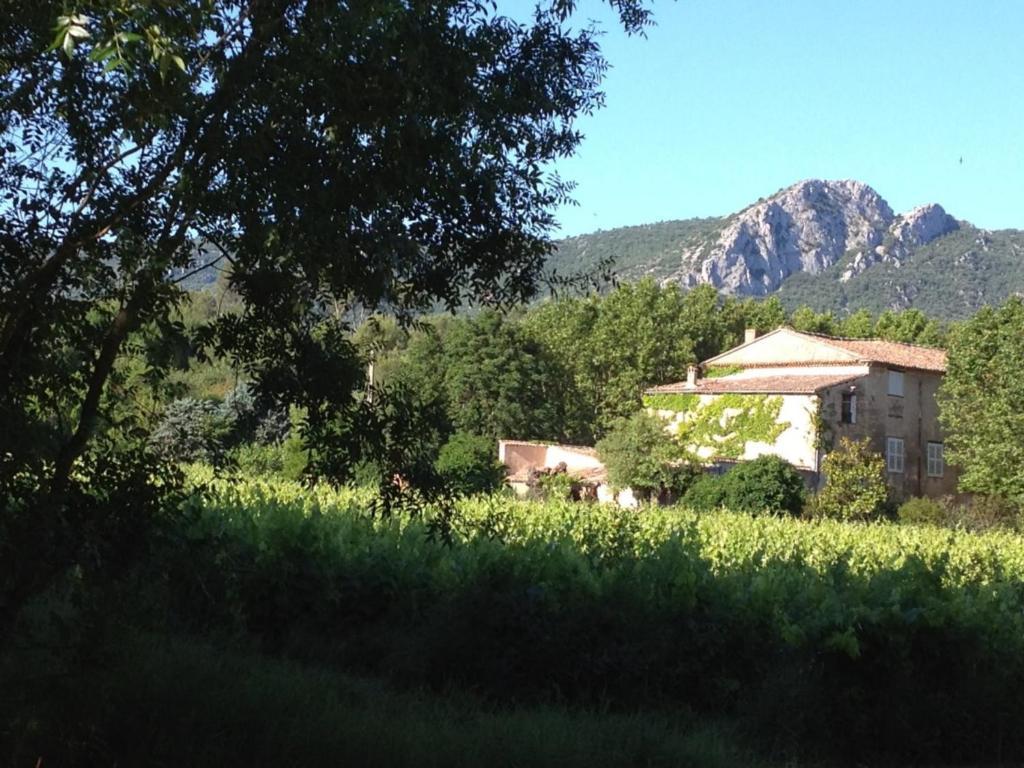 B&B Domaine Le Clos Du Pavillon Brignoles Exterior foto